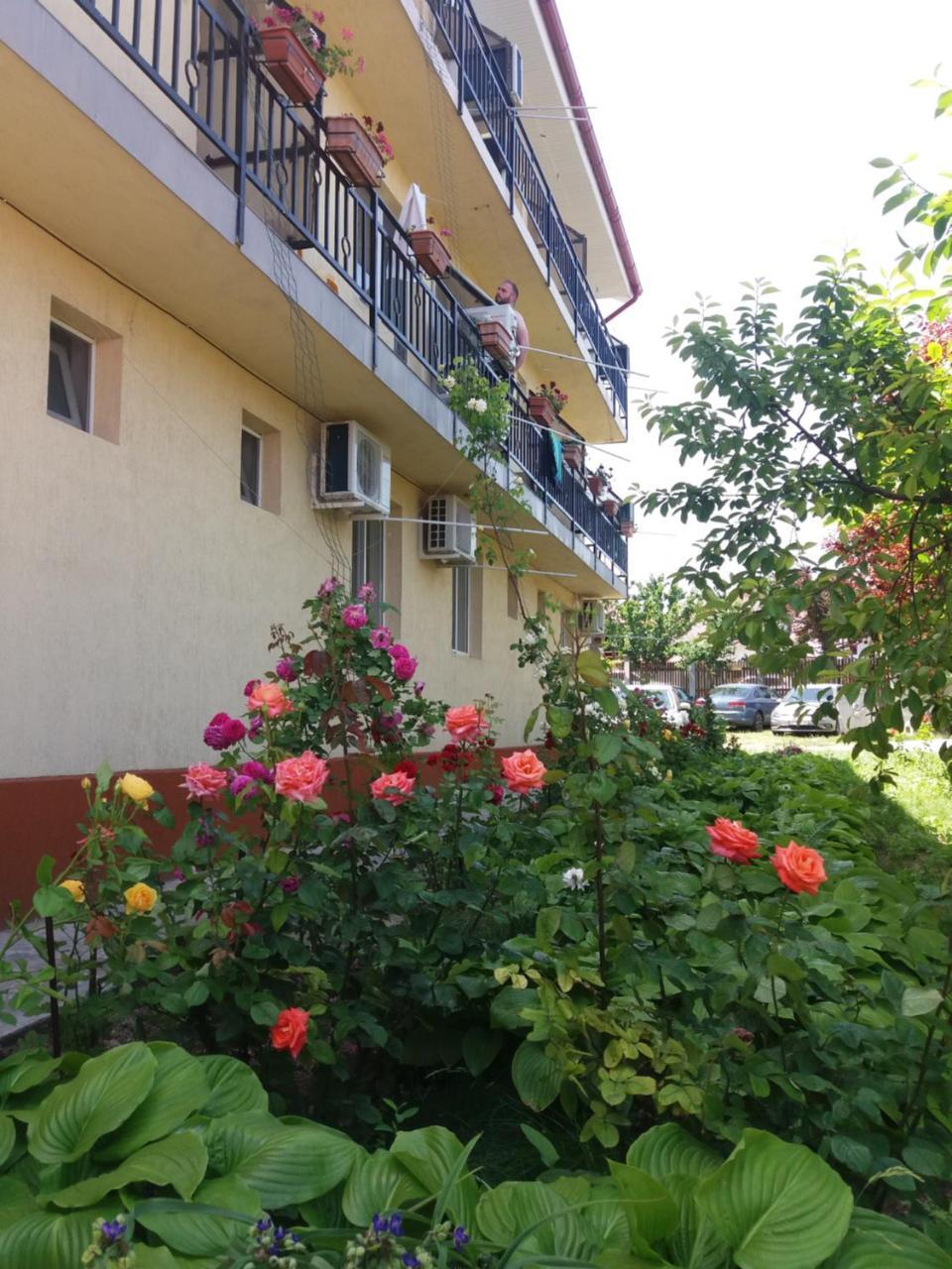 Vila Albatros Vama Veche Exterior foto